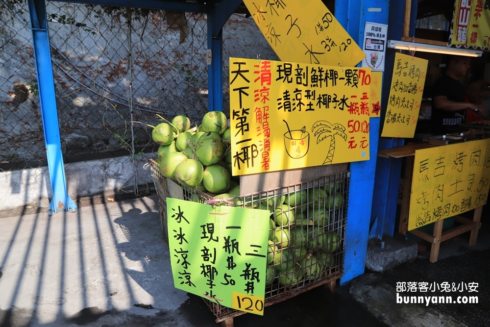 台東2024【多良車站】美拍打卡地標與列車進站拍照指南