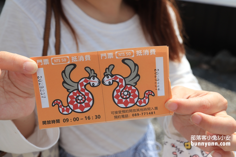 台東2024【多良車站】美拍打卡地標與列車進站拍照指南