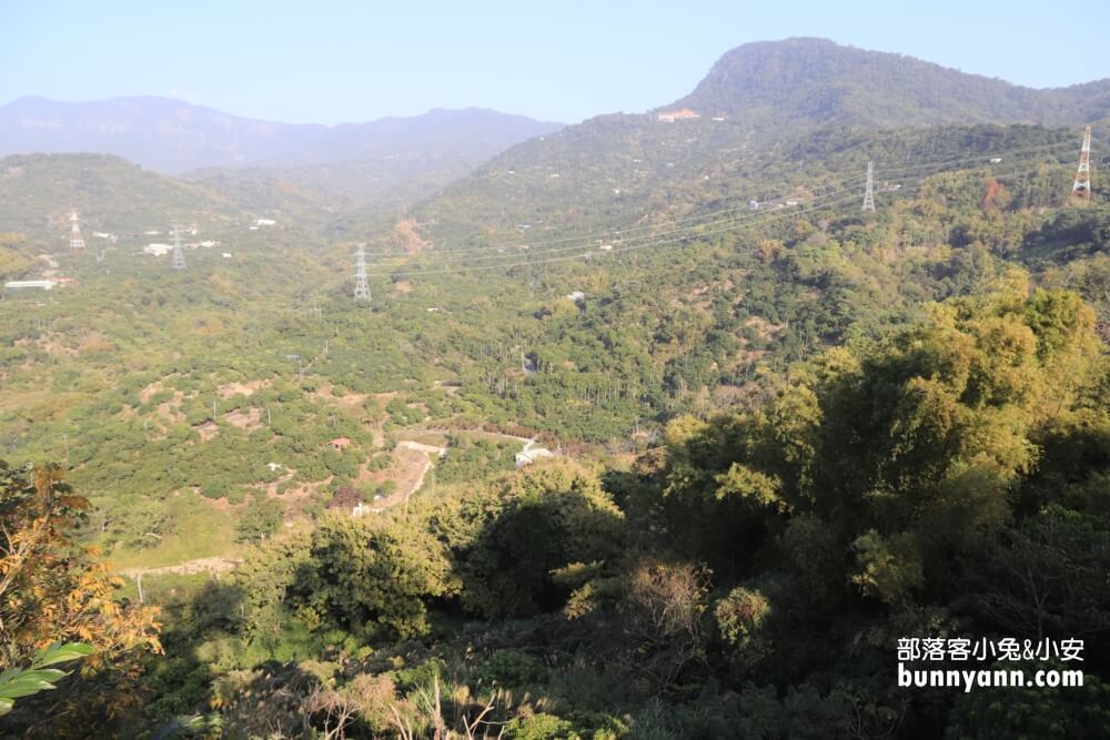台南仙湖休閒農場(門票資訊)，無邊際水池和親近小動物真有趣。