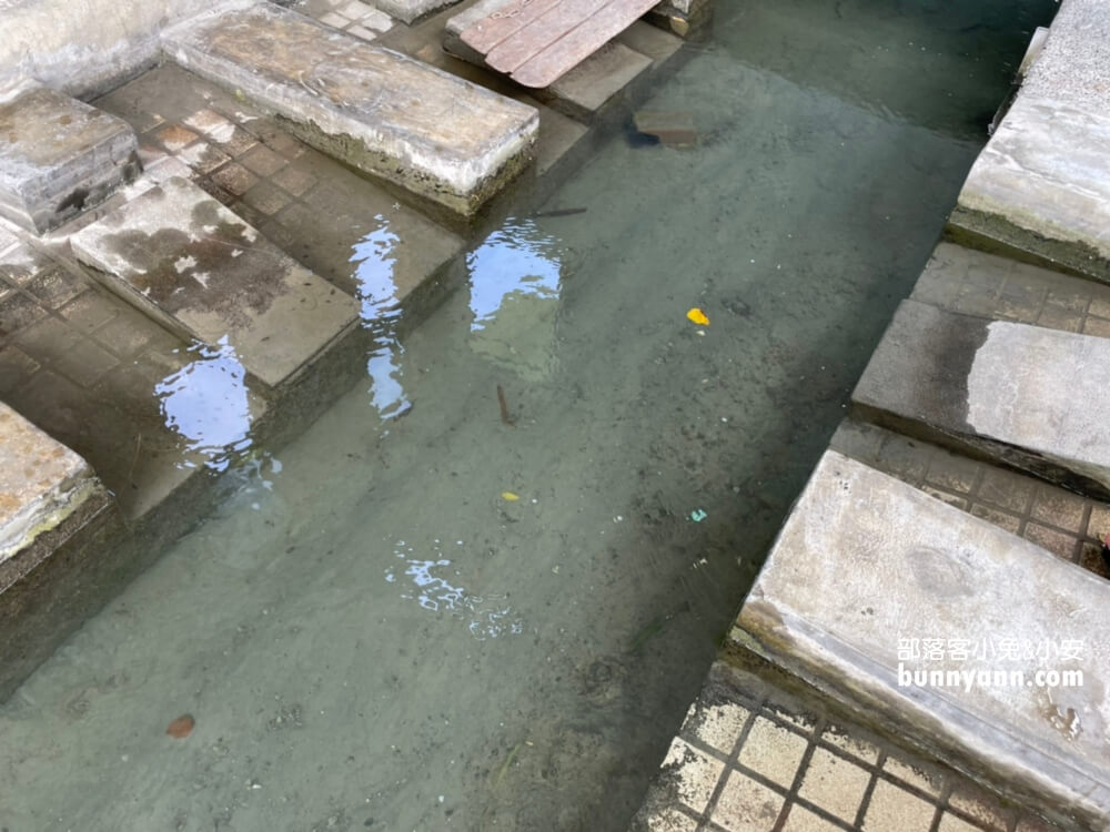 台東景點|錦園洗衣亭好美|最佳玩水田邊俱樂部|綠油油稻田好舒心