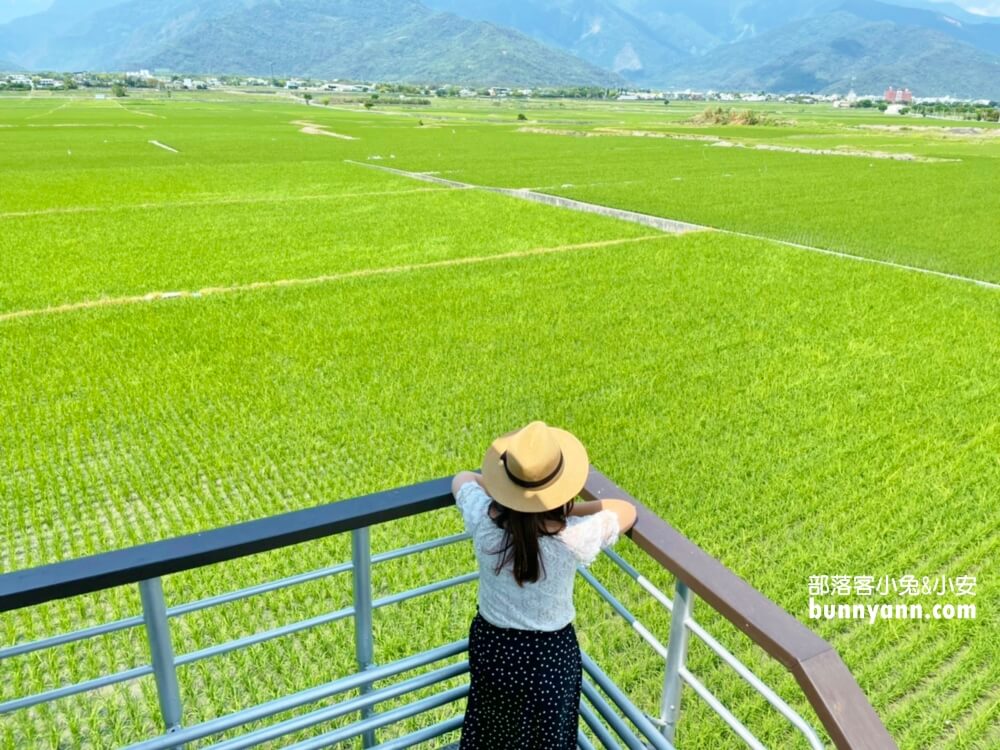 台東景點|錦園洗衣亭好美|最佳玩水田邊俱樂部|綠油油稻田好舒心