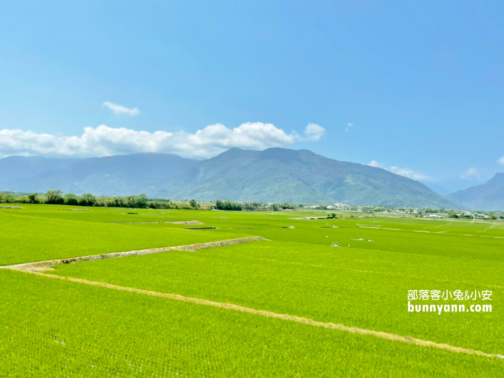 台東景點|錦園洗衣亭好美|最佳玩水田邊俱樂部|綠油油稻田好舒心