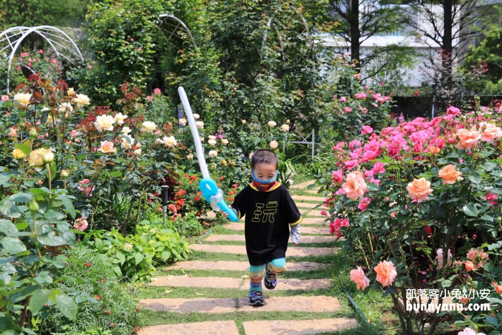 桃園楊梅雅聞魅力博覽館，夢幻玫瑰花園參觀資訊大補帖