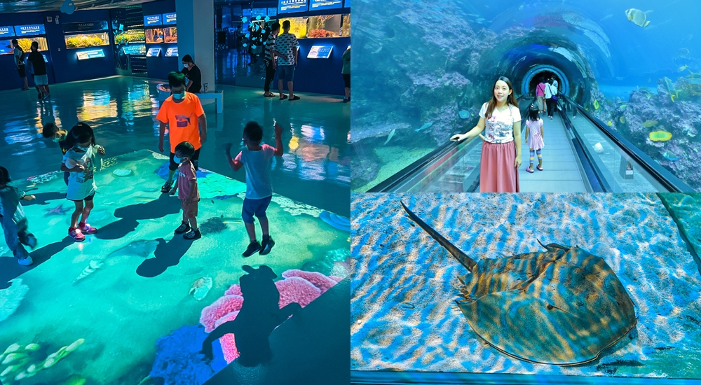 最強台灣水族館攻略，全台8座水族館你都去過嗎？