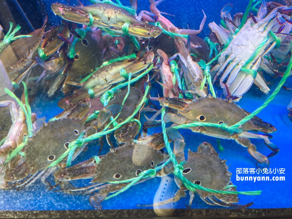 金山【花義思廚坊】現撈螃蟹每隻300元內，小卷火鍋也很逆天豐盛