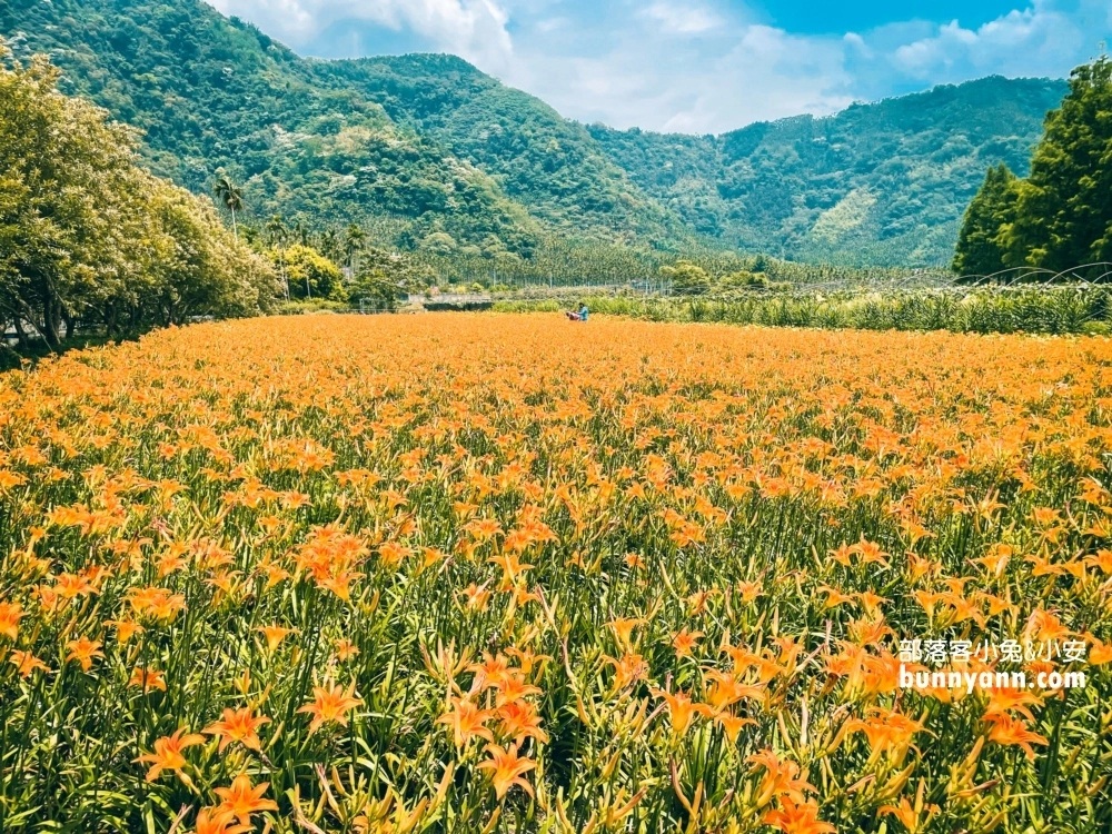 南投平地花海推薦！日月潭金針花園區頭社活盆地會跳舞的草地
