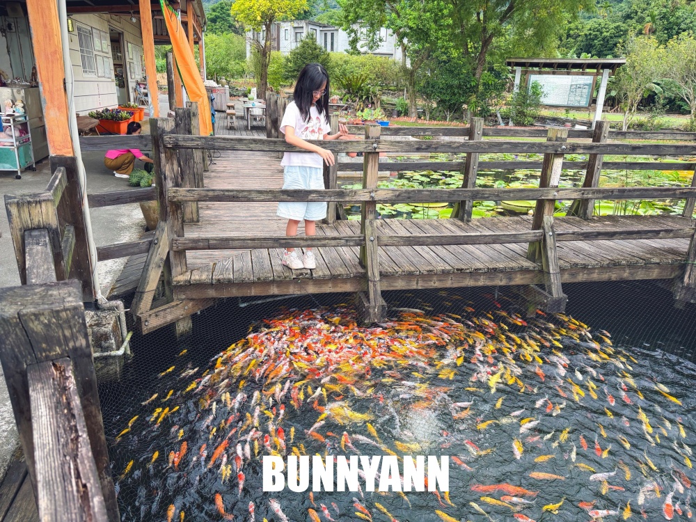 很多人不知道這座免費蓮花園，池畔涼亭招待喝茶賞花，還能餵魚散步