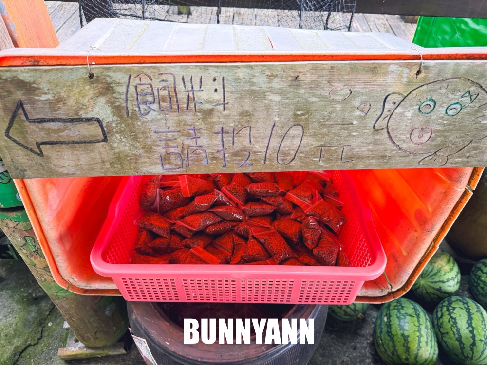很多人不知道這座免費蓮花園，池畔涼亭招待喝茶賞花，還能餵魚散步
