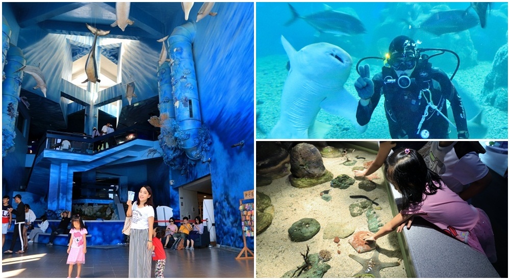 暢遊水中王國「澎湖水族館」門票、優惠、交通總整理攻略。 @小兔小安*旅遊札記