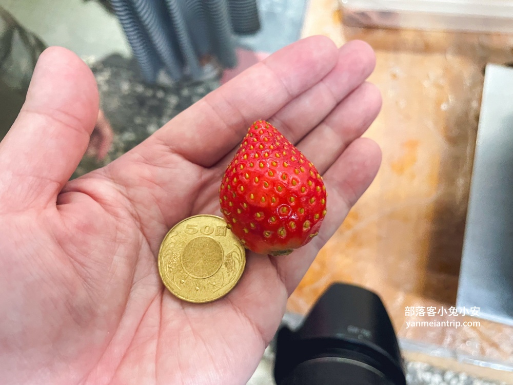 三重【明月堂和菓子】歷史悠久，經典老字號和菓子店，百年傳承見證的美味