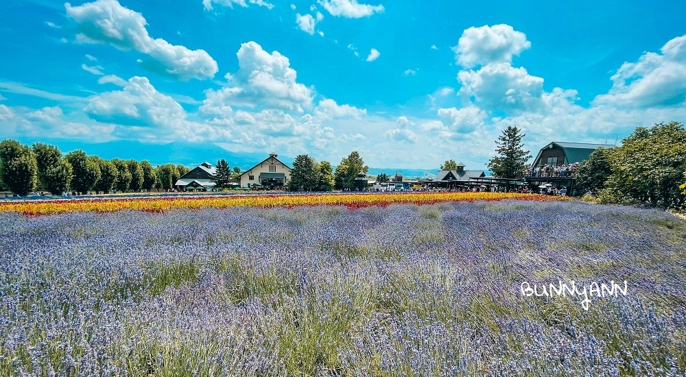 北海道》富田農場，富良野最佳賞花地點，哈密瓜好好吃 @小兔小安*旅遊札記