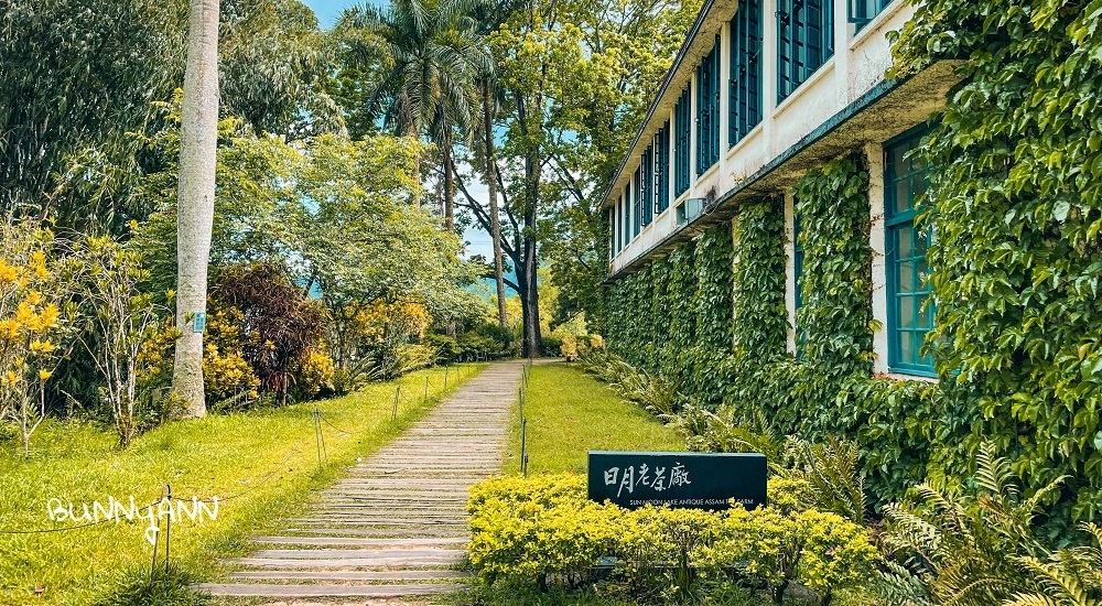 日月老茶廠