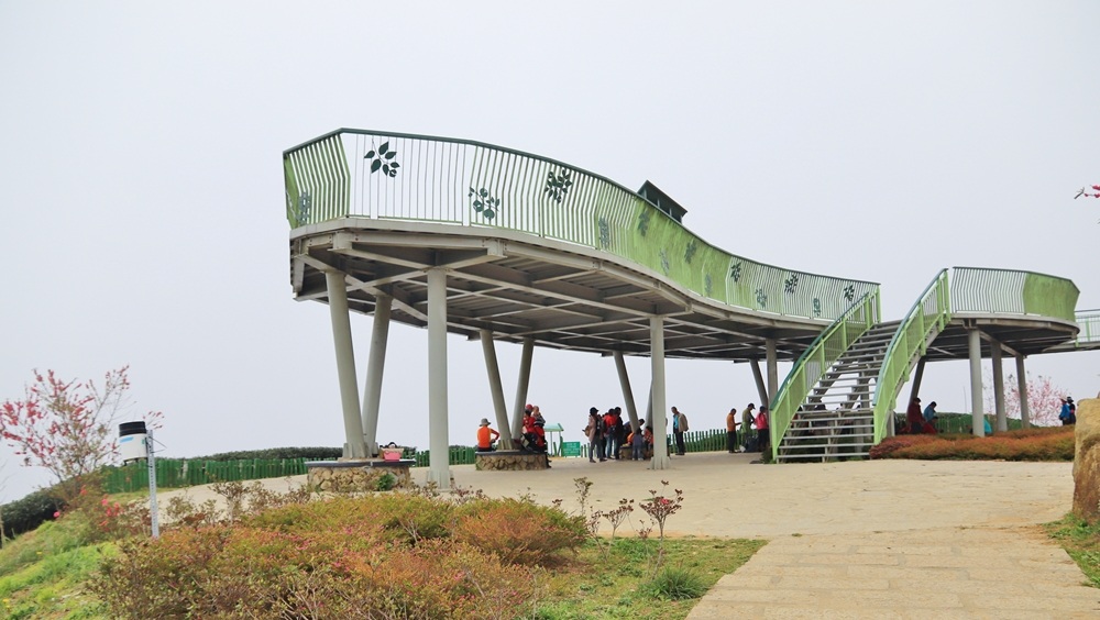 雲嶺之丘