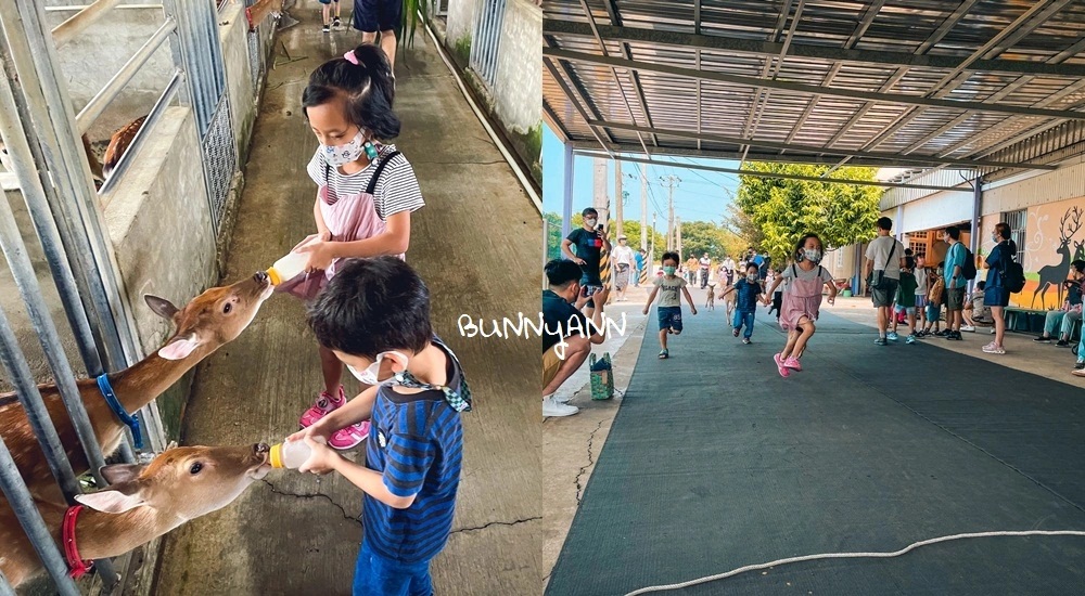 山腳鹿場水鹿之家