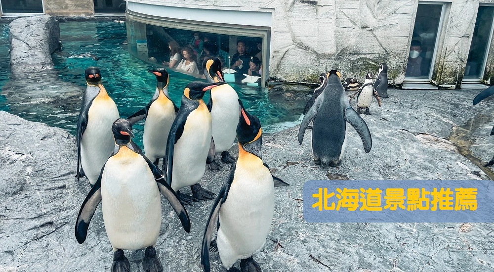 日本2024【北海道景點】推薦北海道必玩好地方，實景拍攝風景