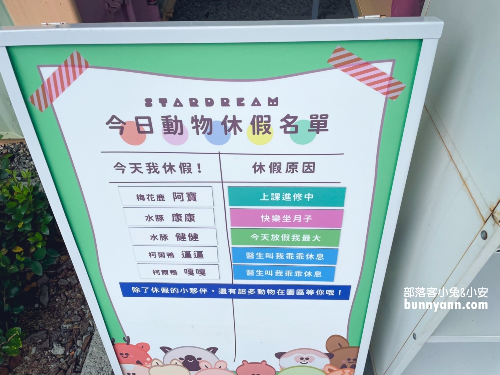 宜蘭【星夢森林劇場】來找可愛水豚君跟毛茸茸兔兔互動