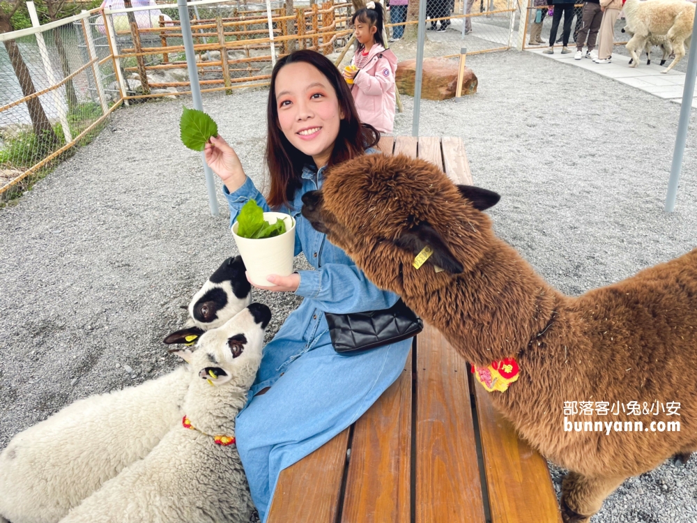 宜蘭【星夢森林劇場】來找可愛水豚君跟毛茸茸兔兔互動