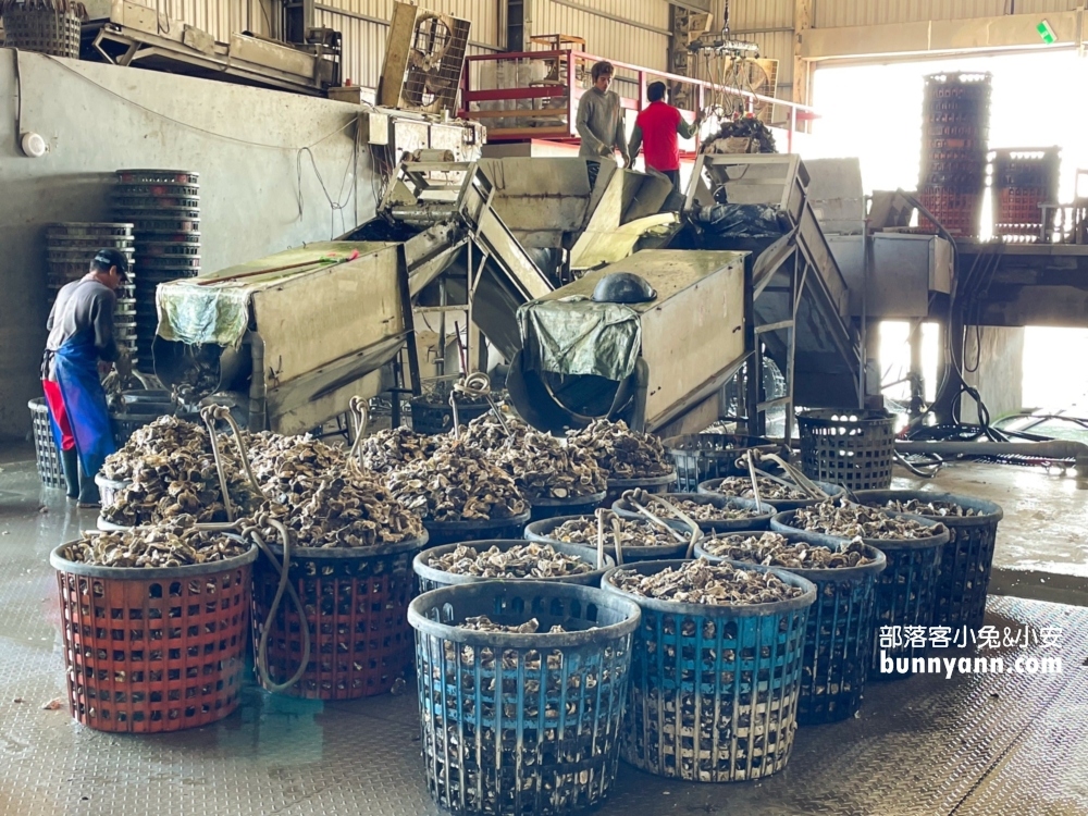 嘉義【季津全蚵宴】全國首創全蚵料理吃到飽也太超值了。