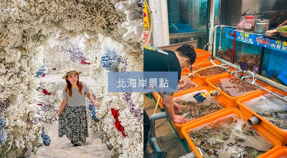 新北【北海岸景點】25個推薦一日遊去處，吹海風喝咖啡，可愛海豚一次瞧個夠 @小兔小安*旅遊札記