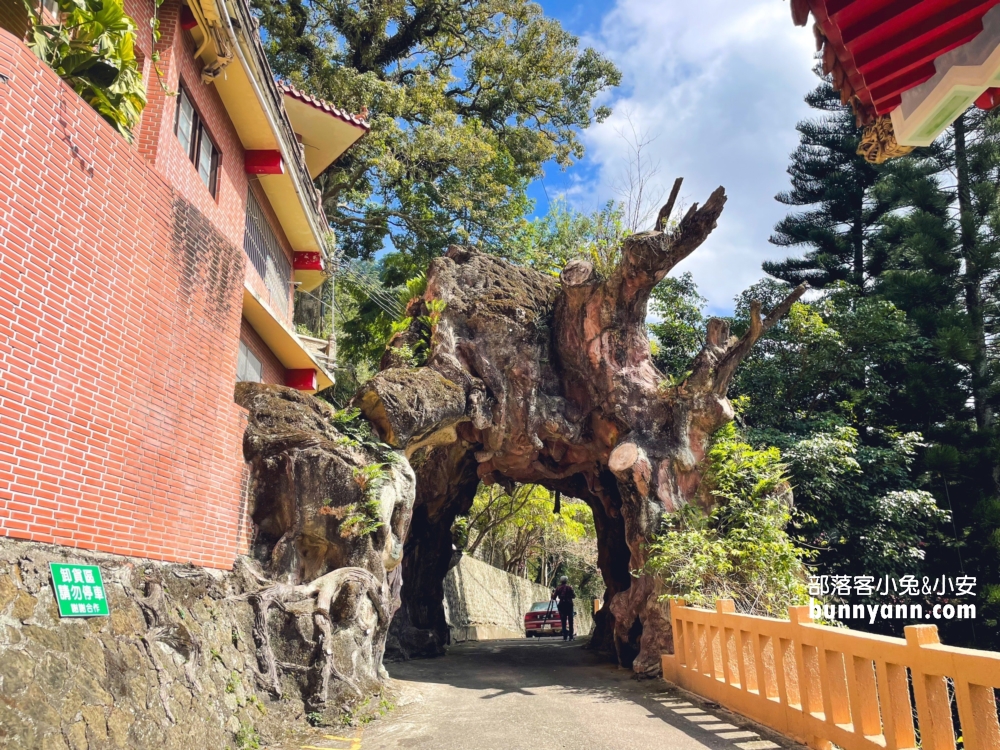 南庄「獅頭山勸化堂」藏在山裡的小百岳步道，戶外好停車真棒