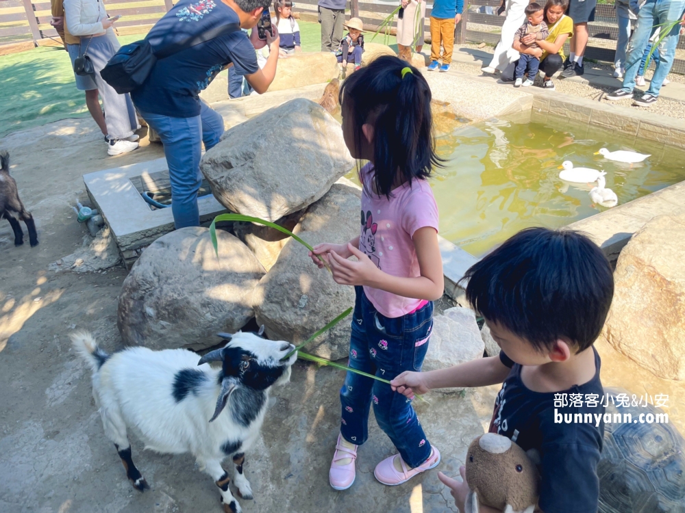 新竹【廢物媽媽育兒農場】海線最熱門的親子和好友出遊地方