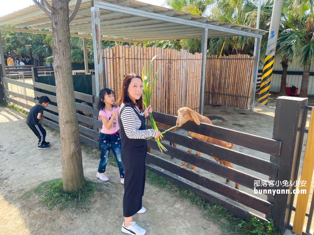 新竹【廢物媽媽育兒農場】海線最熱門的親子和好友出遊地方