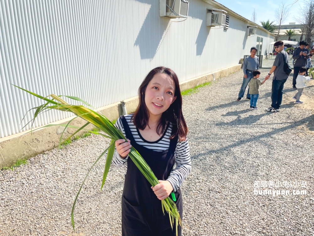 新竹【廢物媽媽育兒農場】海線最熱門的親子和好友出遊地方