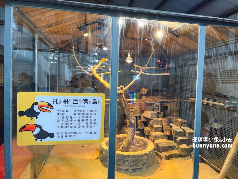 新竹【廢物媽媽育兒農場】海線最熱門的親子和好友出遊地方