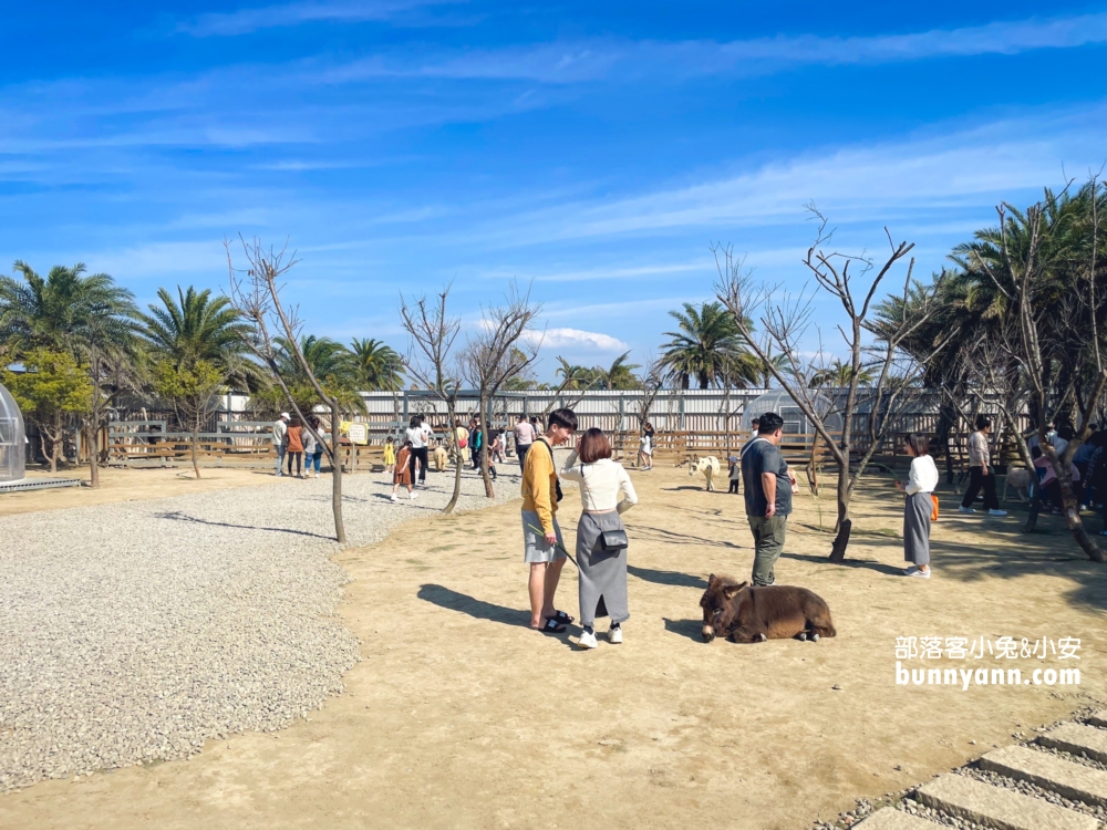 新竹【廢物媽媽育兒農場】海線最熱門的親子和好友出遊地方