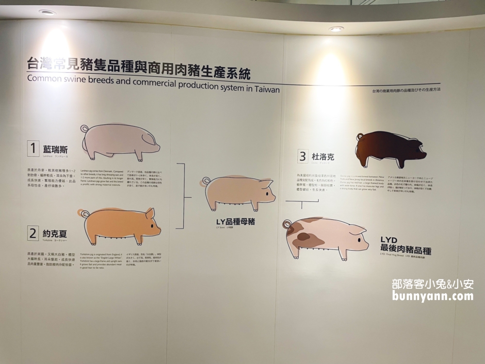 雲林【良作工場農業文創館】關於豬肉生產製程的豬豬主題觀光工廠