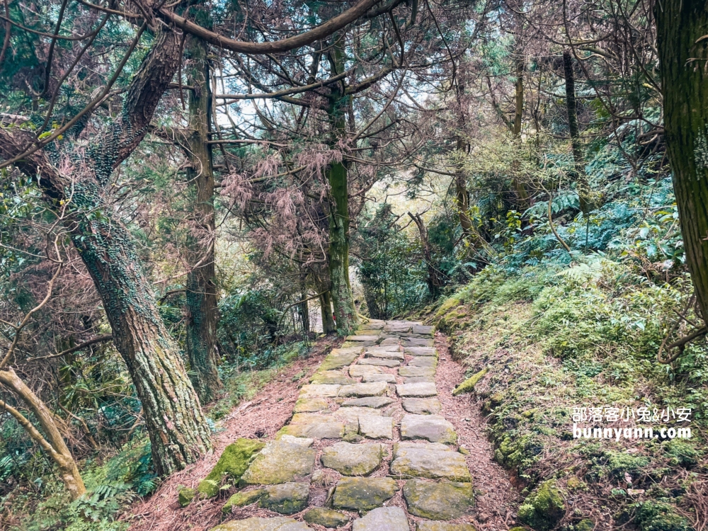 陽明山夢幻湖步道，國家級生態濕地，停車與環境介紹。