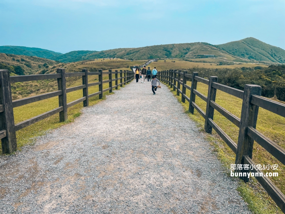 【台北陽明山】擎天崗大草原步道：免門票看牛吃草，超美大草原好療癒。