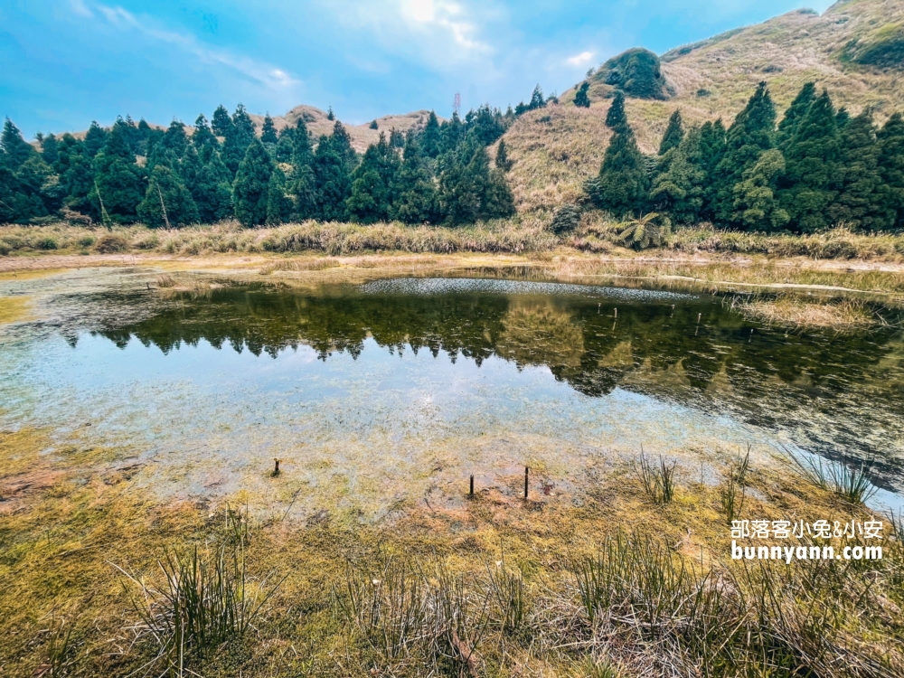 陽明山夢幻湖步道，國家級生態濕地，停車與環境介紹。