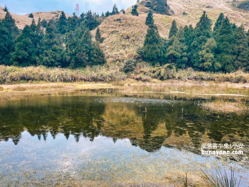 陽明山夢幻湖步道，國家級生態濕地，停車與環境介紹。