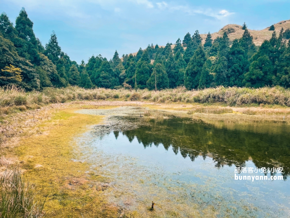 陽明山夢幻湖步道，國家級生態濕地，停車與環境介紹。