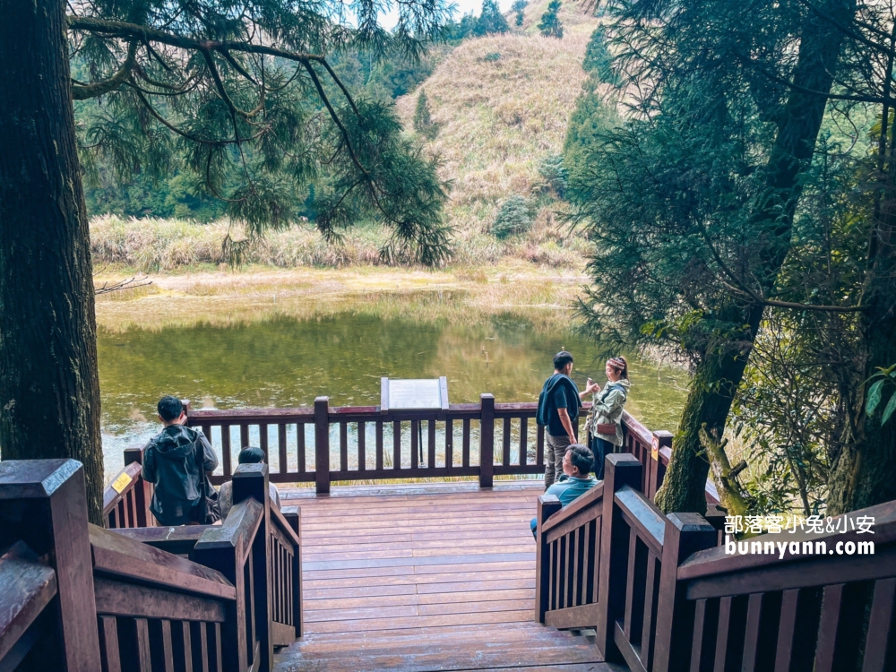 陽明山夢幻湖步道，國家級生態濕地，停車與環境介紹。