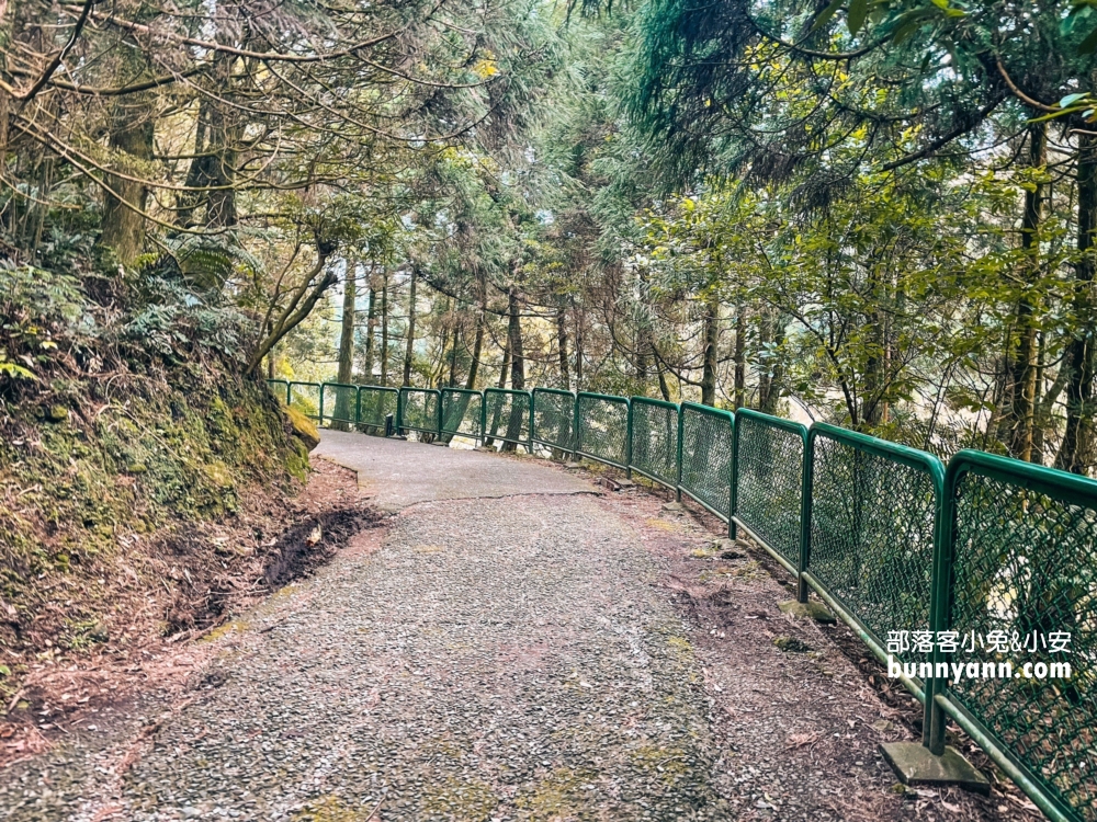 陽明山夢幻湖步道，國家級生態濕地，停車與環境介紹。