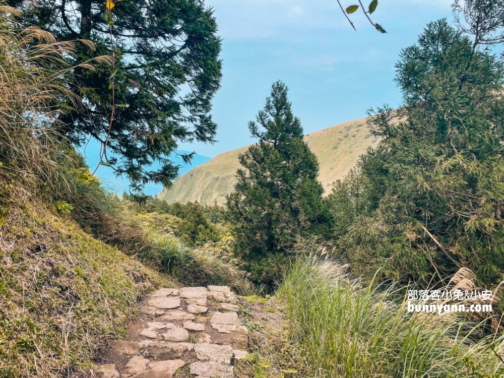 陽明山夢幻湖步道，國家級生態濕地，停車與環境介紹。