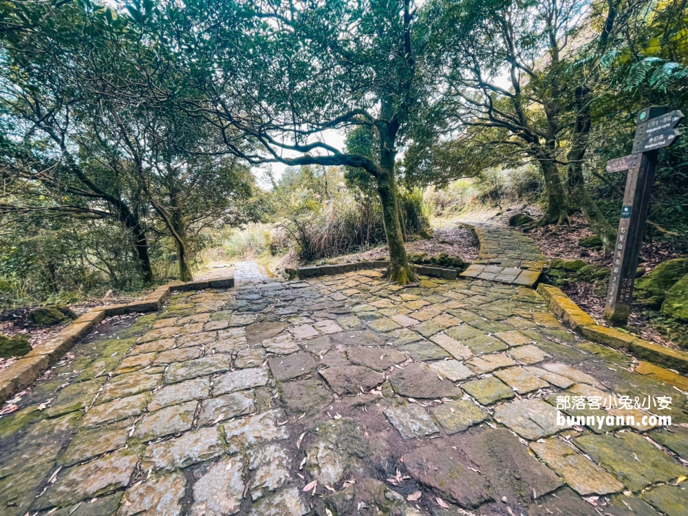 陽明山夢幻湖步道，國家級生態濕地，停車與環境介紹。
