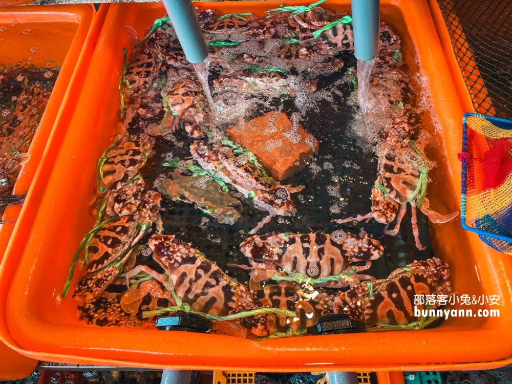 龜吼【大樹下活海鮮】谷歌4.8顆星評價超級優秀的海產餐廳！