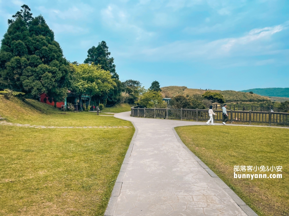 【台北陽明山】擎天崗大草原步道：免門票看牛吃草，超美大草原好療癒。