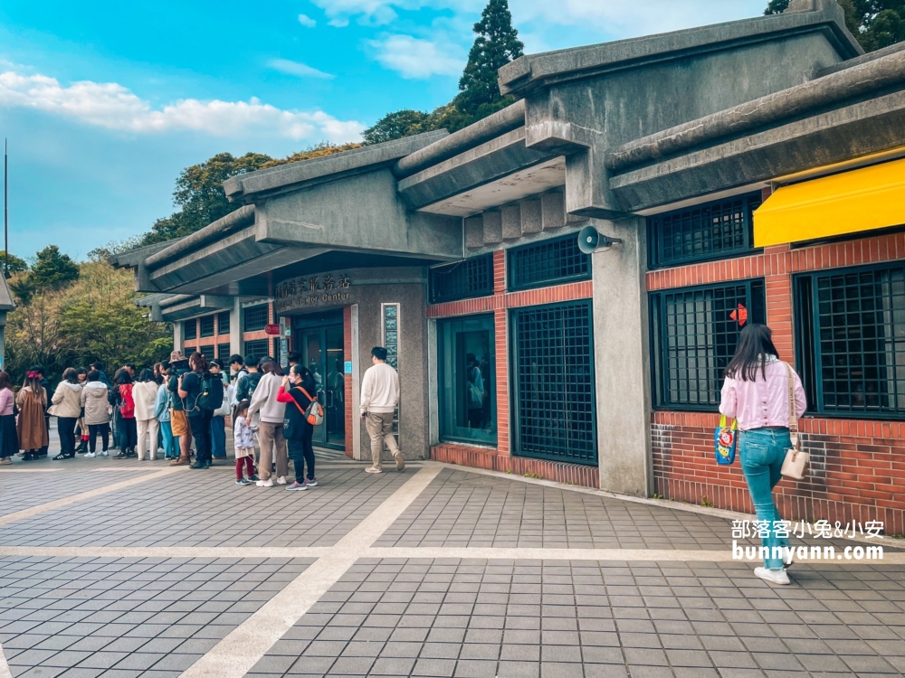 【台北陽明山】擎天崗大草原步道：免門票看牛吃草，超美大草原好療癒。