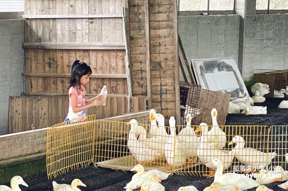 甲鳥園