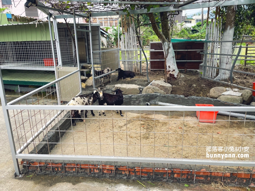 宜蘭【皇家花園餐廳】礁溪交流道附近的烤雞店，有迷你馬可以互動