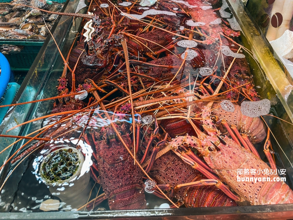 【竹圍漁港一日遊】桃園買海鮮好去處！鮮蚵螃蟹透抽泰國蝦通通有