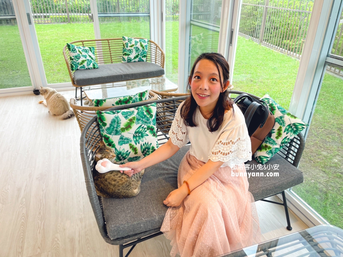 【擼LALA Sweets】短腿貓咪咖啡廳，直接滿足想跟貓咪同處一室的心願