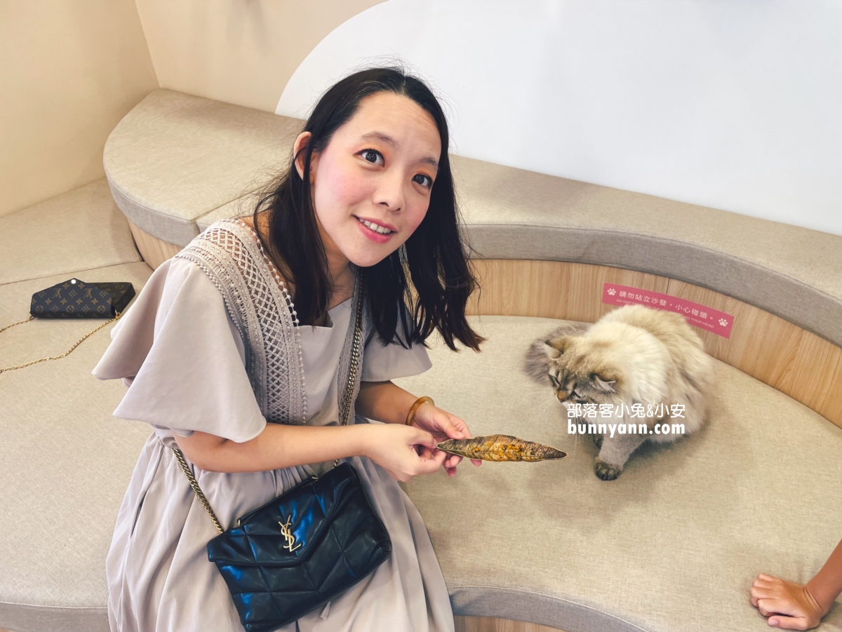 【擼LALA Sweets】短腿貓咪咖啡廳，直接滿足想跟貓咪同處一室的心願