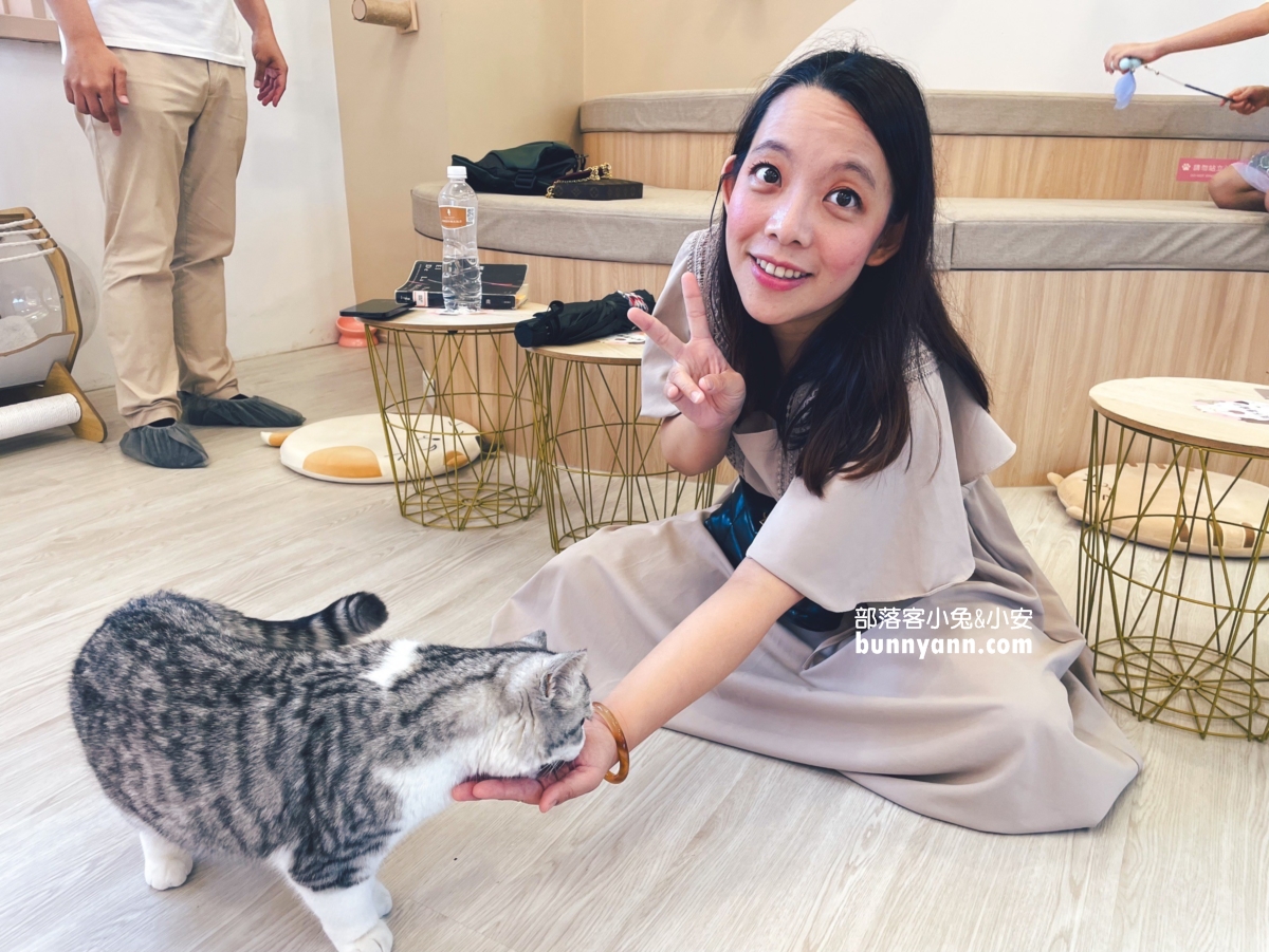 【擼LALA Sweets】短腿貓咪咖啡廳，直接滿足想跟貓咪同處一室的心願