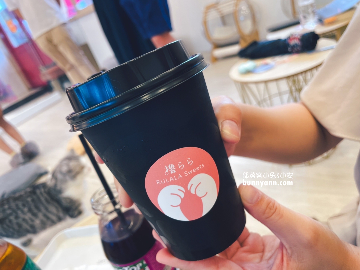 【擼LALA Sweets】短腿貓咪咖啡廳，直接滿足想跟貓咪同處一室的心願