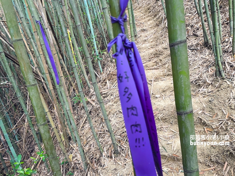 【紫鳶山城竹林海餐廳】神隱少女茶屋，漫步苗栗版小抹茶山，銅鑼秘境推薦！